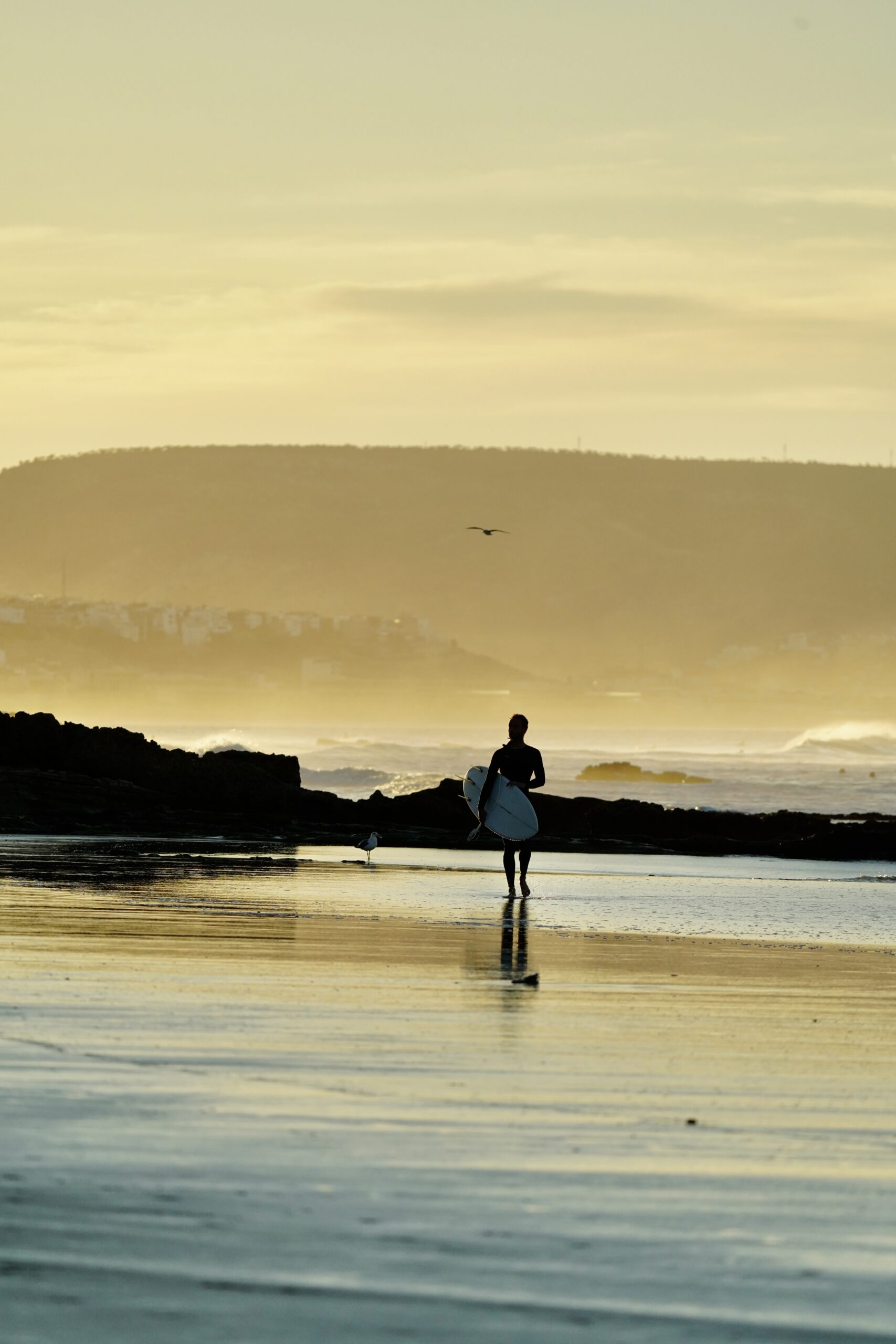 2A5396C5-E86A-40CB-9859-24C7A9FC3D1D